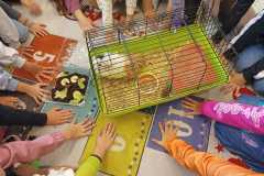 2025-Den zvířat 1.stupeň