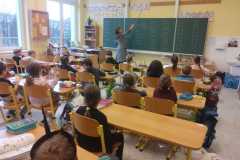 IMG-20260210-WA0056