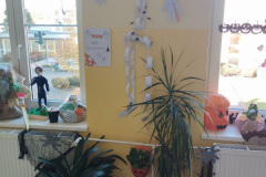 IMG_20251020_134728_1