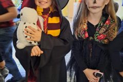 Messenger_creation_398DA891-D2D5-4504-933E-7C4054FC7DE5