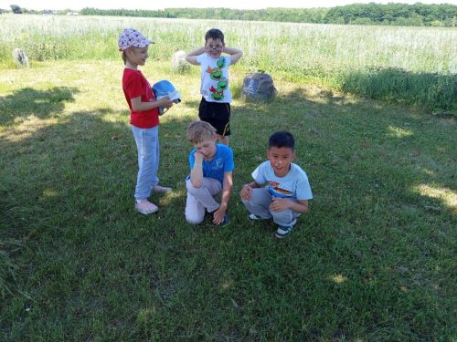 IMG-20260704-WA0019